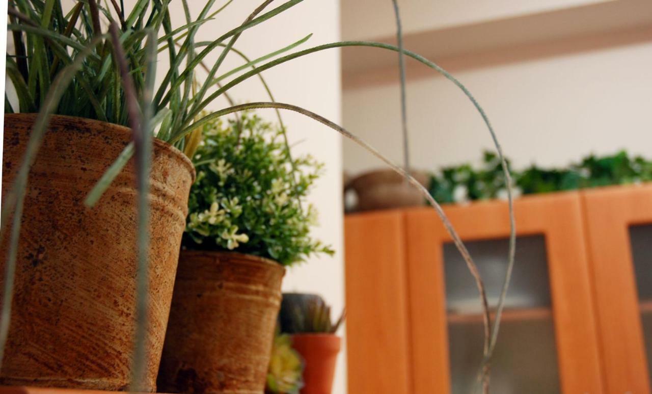 אתונה Acropolis, Urban Lifestyle Apartment מראה חיצוני תמונה